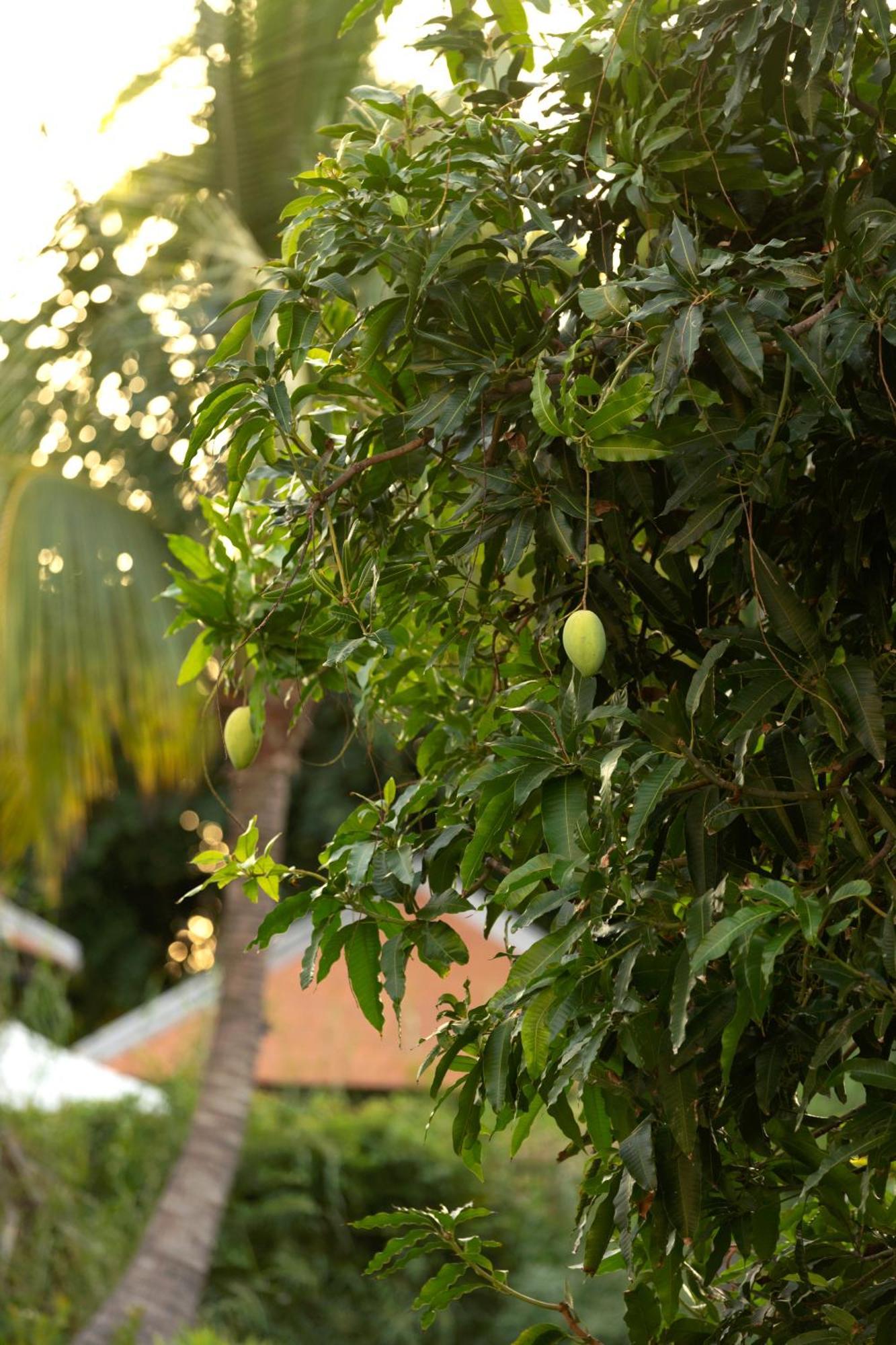 Anantara Mui Ne Resort Ngoại thất bức ảnh